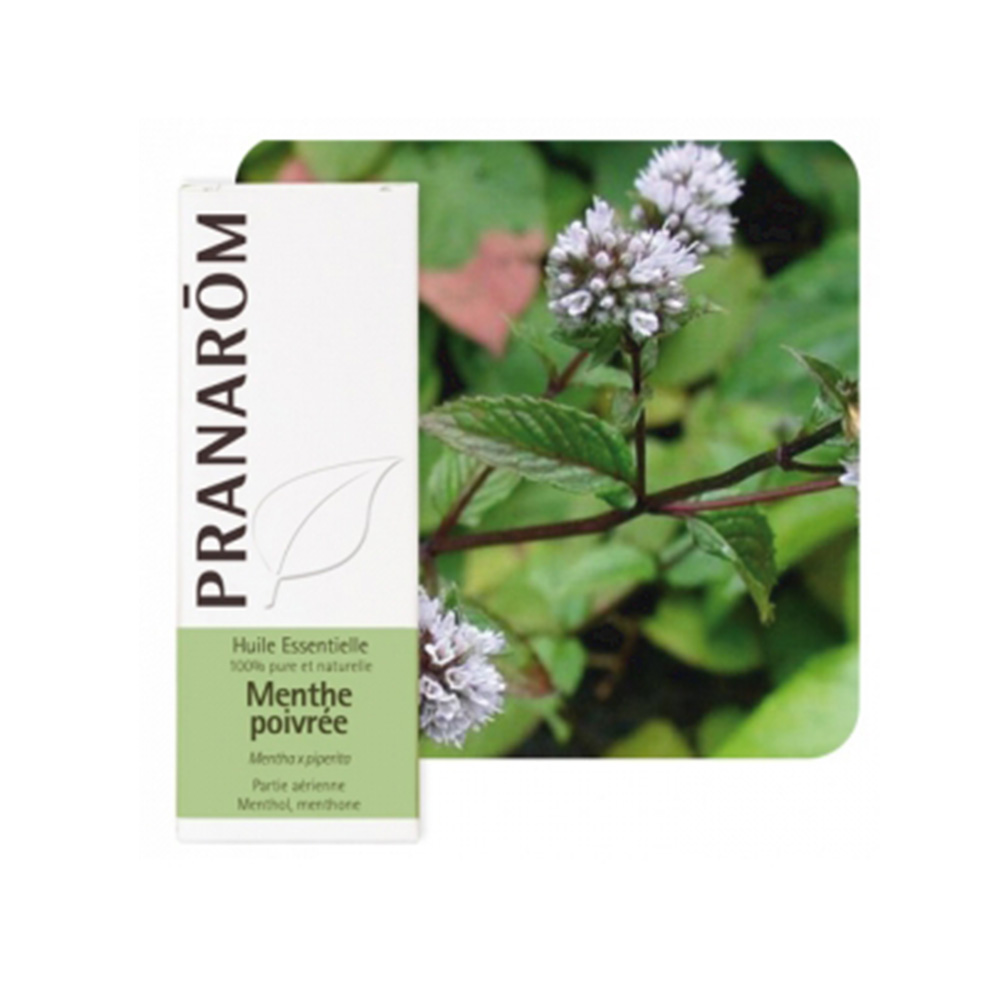 PRANAROM ETER ULJE METVICA PAPRENA PRANAROM ETER ULJE METVICA PAPRENA